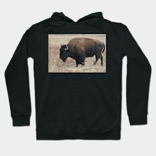 Bison Hoodie